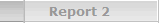 Report 2