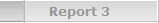 Report 3