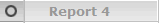 Report 4