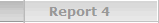 Report 4